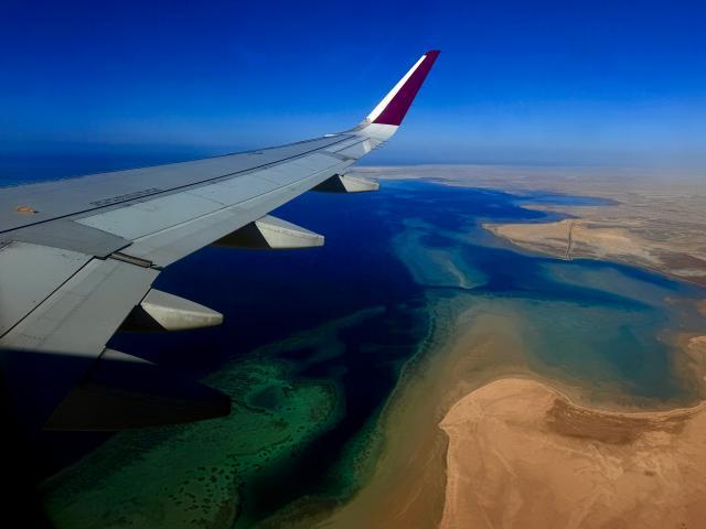 1767274277111049153.jpg IMG_7726.jpg