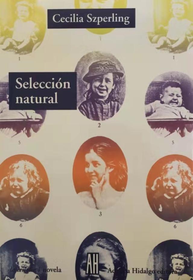 1637830955293022962.png image.png